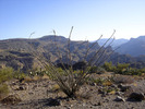 photo thumbnail #10