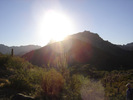 photo thumbnail #1