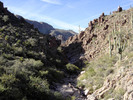 photo thumbnail #6