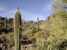 photo thumbnail #7