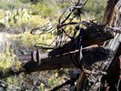 photo thumbnail #14