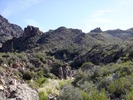 photo thumbnail #15