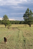 photo thumbnail #13