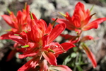 photo thumbnail #14