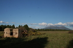 photo thumbnail #15