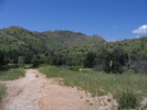 photo thumbnail #1