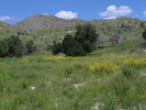photo thumbnail #3