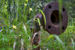 photo thumbnail #15