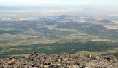 photo thumbnail #12