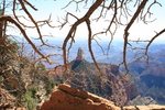 photo thumbnail #10
