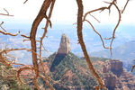 recent photo