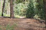 recent photo