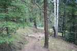photo thumbnail #3