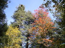 photo thumbnail #3