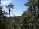 photo thumbnail #11