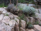 Featured Detail Photo