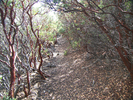 photo thumbnail #9