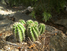 photo thumbnail #11