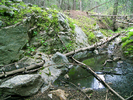 photo thumbnail #14