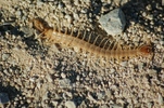 photo thumbnail #2