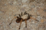 photo thumbnail #1