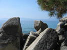 photo thumbnail #7
