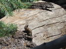 photo thumbnail #10