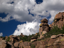 photo thumbnail #13