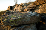 photo thumbnail #3
