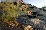 photo thumbnail #5