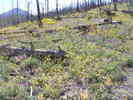 photo thumbnail #13