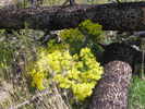 photo thumbnail #14