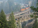 photo thumbnail #12