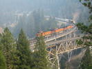 photo thumbnail #13