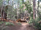 photo thumbnail #2