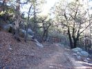 photo thumbnail #12