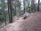 photo thumbnail #10