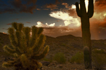 photo thumbnail #1