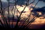photo thumbnail #3