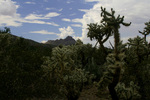 photo thumbnail #2