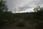 photo thumbnail #10