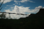 photo thumbnail #11