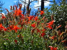 photo thumbnail #6