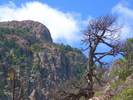 photo thumbnail #9
