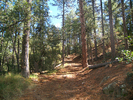 photo thumbnail #11