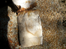 photo thumbnail #14