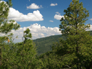 photo thumbnail #15