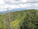 photo thumbnail #6