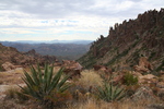photo thumbnail #11