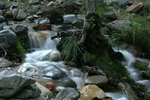 photo thumbnail #10